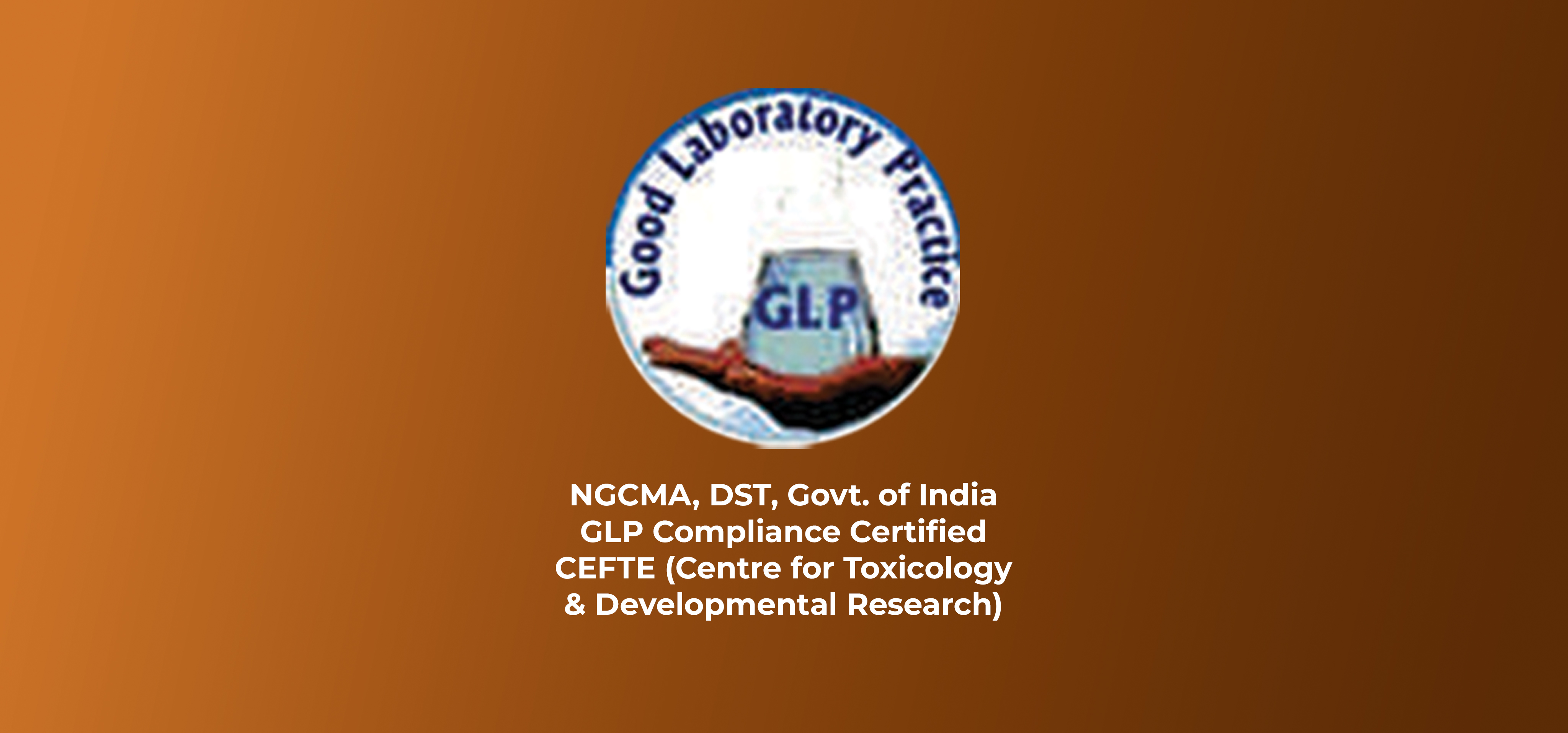 slide4